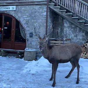 Schody Do Nieba Zakopane